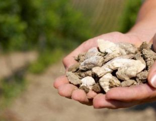 Vergeben Sie Schlagworte